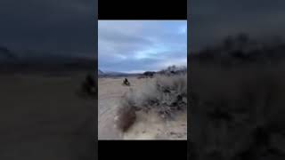 Shredding a Honda CRF150F at the Dunes mb for low quality offroadmotorcycle dirtbike motocross [upl. by Myo]