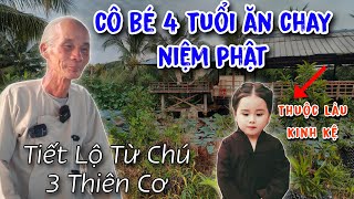 Kỳ lạ bé 4 tuổi bỗng dưng ăn chay thuộc làu kinh kệ tiết lộ từ Chú Ba Thiên Cơ [upl. by Torto]