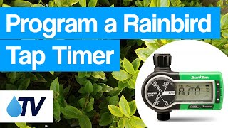 Its so easy to program a Rainbird 1ZEHTMR irrigation tap timer [upl. by Narag]