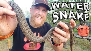 Catch And Cook Water Snake  Day 7 Of 30 Day Survival Challenge Texas [upl. by Merrielle]