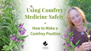 Comfrey Plant Benefits  Using Roots and Leaf Safely  Comfrey Poultice [upl. by Yentrok256]