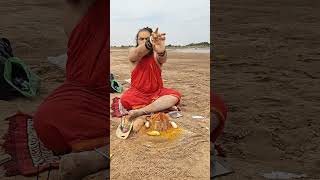 aghor godavari aghori guru Raja Swami ji Pooja mahakaal 🚩 [upl. by Beau]