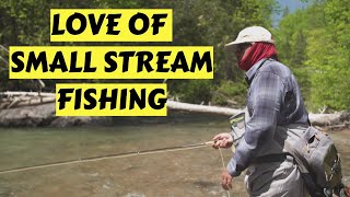 Small Stream Fishing  How To [upl. by Idona463]