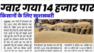 ग्वार का ताजा भाव 15 मार्च 2024 आज ग्वार में कितनी आई तेजी देखें भाव gwar ka bhav guar seed price [upl. by Darwen]