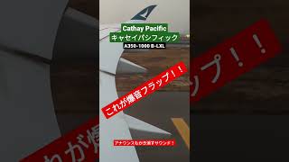 【A350 Flaps Sound】Cathay Pacific Airbus A3501000 BLXL [upl. by Herwig]