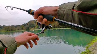 OGNI LANCIO UNA TROTA Pesca alla Trota a spinning MOLTE CATTURE [upl. by Radke]