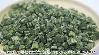 Top Quality Freeze Dried Spinach Cubes For Sale freezedried freezedriedvegetables [upl. by Assitruc908]