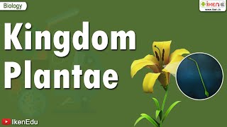 Kingdom Plantae  iKen  iKen App  iKen Edu [upl. by Harned989]