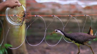 dahuk pakhir fad  bird trap of catching bird  gallinule bird trap make bird trap [upl. by Nemrac]