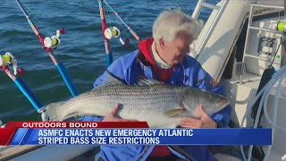 New Emergency Striped Bass Regulations [upl. by Brooks]