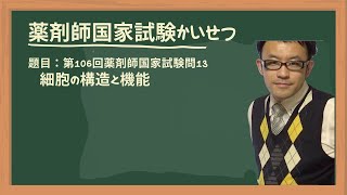 第106回薬剤師国家試験 問13 細胞の構造と機能 [upl. by Viviyan]