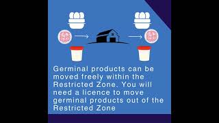 Germinal Product movements in a bluetongue Restricted Zone in England [upl. by Niletac]