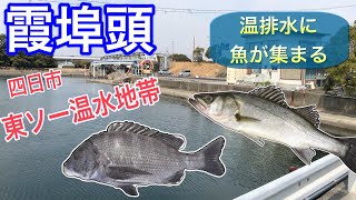 【霞埠頭】東ソー温排水地帯四日市釣り場紹介シーバスチヌスズキ [upl. by Odlaner]