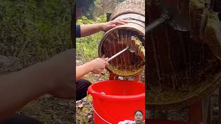 Harvest Big Honeycomb 🍯🍯 honey bee honeybee honeycomb satisfying shortvideo shorts [upl. by Yahsram999]