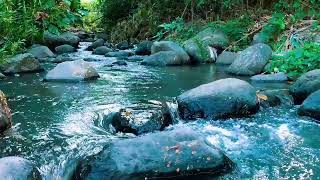 Relaxing birds amp water sounds nature river sounds for sleep meditation relaxation flowing water [upl. by Stanwin]