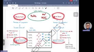 Key Concepts of Carbonic AcidBicarbonate Buffer System [upl. by Mcfarland]