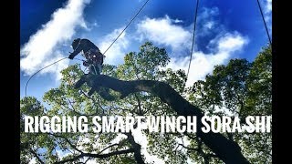 Smart Winch  Rigging  Cutting  pruning  Gopro  Arborist [upl. by Nylemaj216]