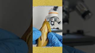 Banana microscope ൽ വെച്ച് നോക്കിയപ്പോൾ 🙀 [upl. by Leontyne]