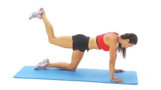 Hip exercise  extension on all fours [upl. by Lucas]