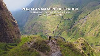 Camping di Danau Segara Anak Melewati Jalur Torean Keindahan Rinjani Bagian 4 [upl. by Akinat]