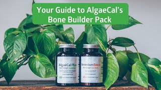 Your Guide to AlgaeCal’s Bone Builder Pack [upl. by Kaela484]