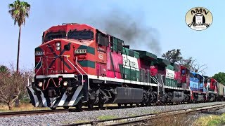 Ferrocarril Mexicano  Trenes Recorriendo la Linea A [upl. by Fachan]