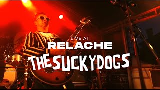 THE SUCKYDOGS quotROLLIN AND TUMBLESquot live Festival Relache 2023 [upl. by Ateiluj]