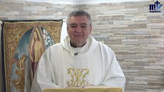 Homilía de hoy  Sábado de la Octava de Pascua  06042024  Pbro Santiago Martín FM [upl. by Ingvar]