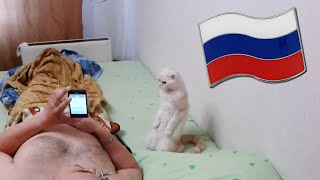 Cat Stands for Russian National Anthem [upl. by Brien695]