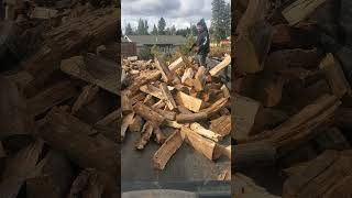 Oak fire wood part 1 burningwood oakwood staysafe fire stacking [upl. by Irelav595]