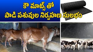 కౌ మాట్స్ తో పాడి పశువుల నిర్వహణ సులభం  Buffalo Mats and Cow Mats  Dairy Farms Mats [upl. by Turnbull411]