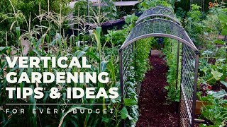 VERTICAL GARDENING TIPS amp IDEAS Why and how to add VERTICAL SPACE to your garden for EVERY BUDGET [upl. by Akeret]