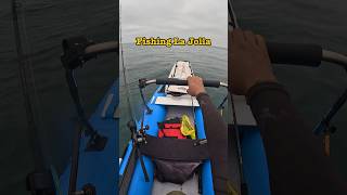 First time on the skiff bassfishing sandiego [upl. by Anastos74]