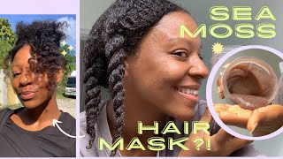 I Used SEA MOSS GEL in my HAIR Natural Hair Mask [upl. by Trebron]