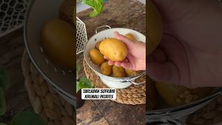 Tarladan sofraya fırında kremalı patates 🫵🏻 hasat tarif pratiktarifler doğa growyourownfood [upl. by Mak431]