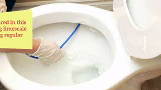 A Guide To Removing Limescale From A Toilet [upl. by Blount891]