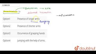 Brachiation is  12  MAMMALIA MAMMA  BREAST  BIOLOGY  DINESH PUBLICATION  Doubtnut [upl. by Limak]