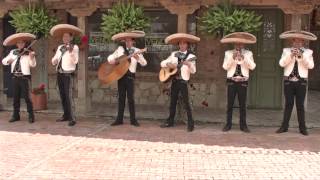 novia mia  mariachi aguilas de plata [upl. by Hanas]