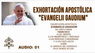 EXHORTACIÓN APOSTÓLICA EVANGELII GAUDIUM DEL SANTO PADRE FRANCISCO 01 [upl. by Wolfe605]