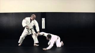 Nihon Goshin Aikido  Aikido Academy of Self Defense  Tarpon Springs [upl. by Errol703]