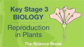 Key Stage 3 Science Biology  Reproduction in Plants [upl. by Aliac]