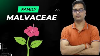 Malvaceae family [upl. by Lazarus]