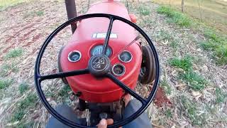 Massey Ferguson 65X um excelente trator [upl. by Halona319]