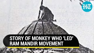 Divine Monkeys Image From Ram Mandir Movement Viral Iconic Tale Resurfaces [upl. by Wiltshire]