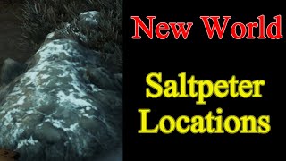 New World Saltpeter best locations  How to find Salt Peter and Easy Farming Spot [upl. by Hepsiba]