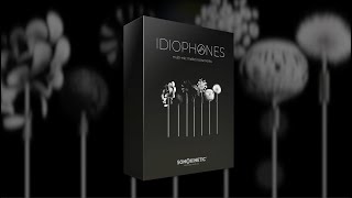 Idiophones  Overview [upl. by Ettenirt]