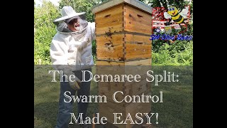 The Demaree Split Swarm Control Made Easy [upl. by Jacquet]