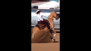 Beautiful Palomino Horse amp Rider with Amazing Sliding Stop  shorts [upl. by Raynah]