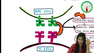 Antigen PART II  Super Antigens [upl. by Yenar]