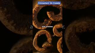 Cinnamon Vs Cassia  Farm Modernization  How to Find True Cinnamon viral shorts facts [upl. by Eibbil50]